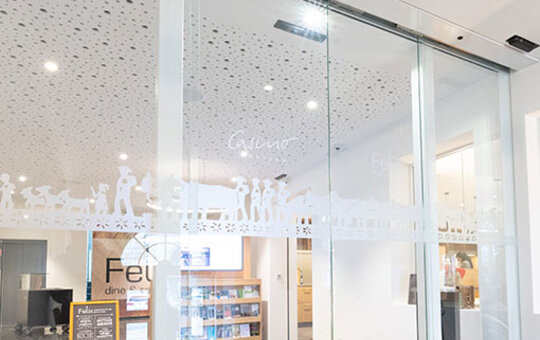 Frameless Linear Sliding Door